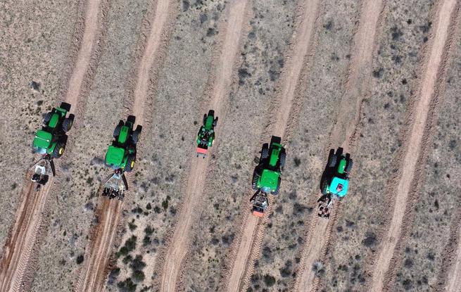 內蒙古超額完成全年防沙治沙任務